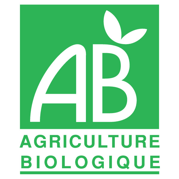 Thé vert MAO FENG BIO - Compagnie Anglaise des Thés