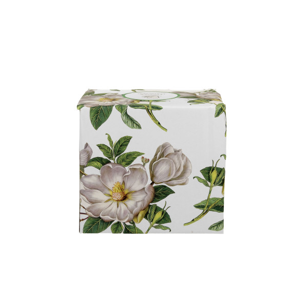 Tisanière Retro Magnolia - Compagnie Anglaise des Thés