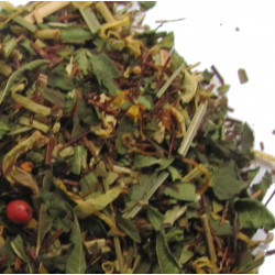 Thé Rooibos VERVEINE, CITRON, MATE - Rooibos Détox bio - Compagnie Anglaise des Thés