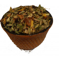 Tasse Infusion VERVEINE, AGRUMES, HONEYBUSH - Infusion Constellation Bio - Compagnie Anglaise des Thés