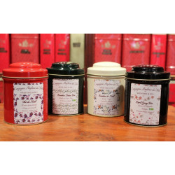 Rooibos  ORANGE, CANNELLE, POIVRE ROUGE-Boîte de Rooibos de NOËL