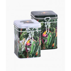 Boîte Tropical verte 100g - Compagnie Anglaise des Thés