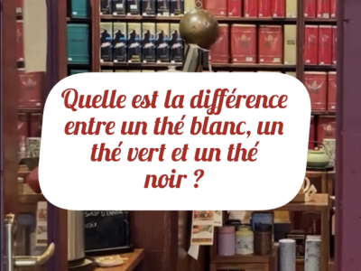 Vidéo- Quelle différence entre le Thé Noir, le thé Vert et le Thé Blanc ?