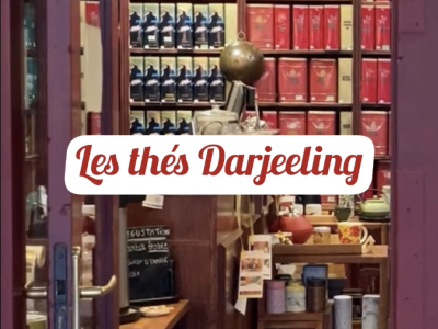 Les thés Darjeeling